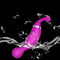 Stimulateur femelle de Clit de stimulateur d'ABS clitoridien rechargeable pourpre de silicone