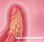 La stimulation clitoridienne de Masturbator féminin joue le pénis de silicone de 220mm Ture Feel Dildo Thrusting Realistic
